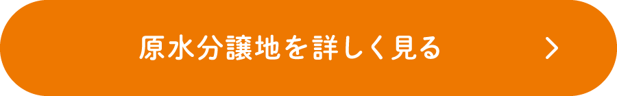 菊池郡菊陽町原水分譲地を詳しく見る