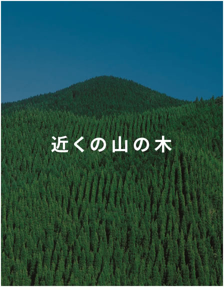 近くの山の木